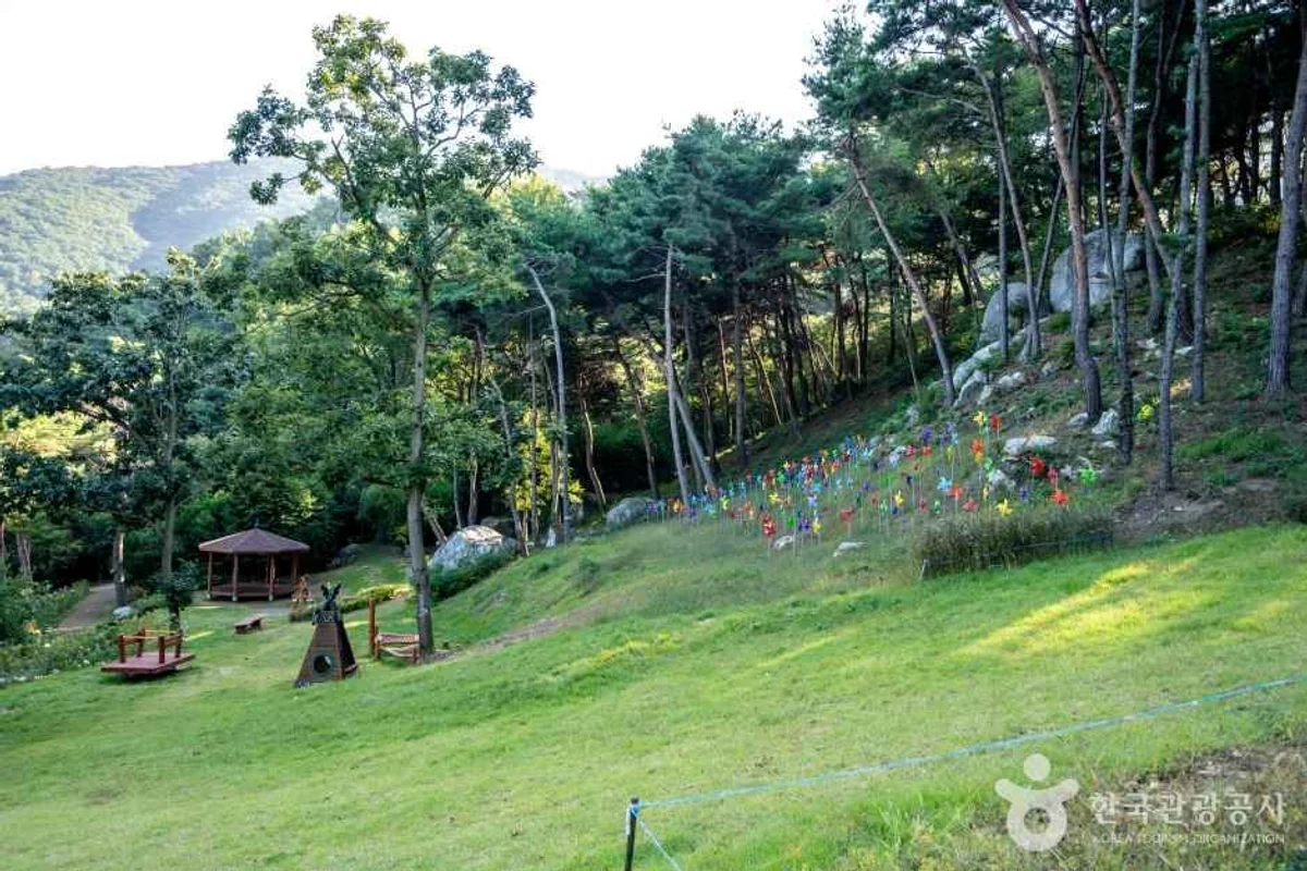 불암산나비정원 - 노원구 여행