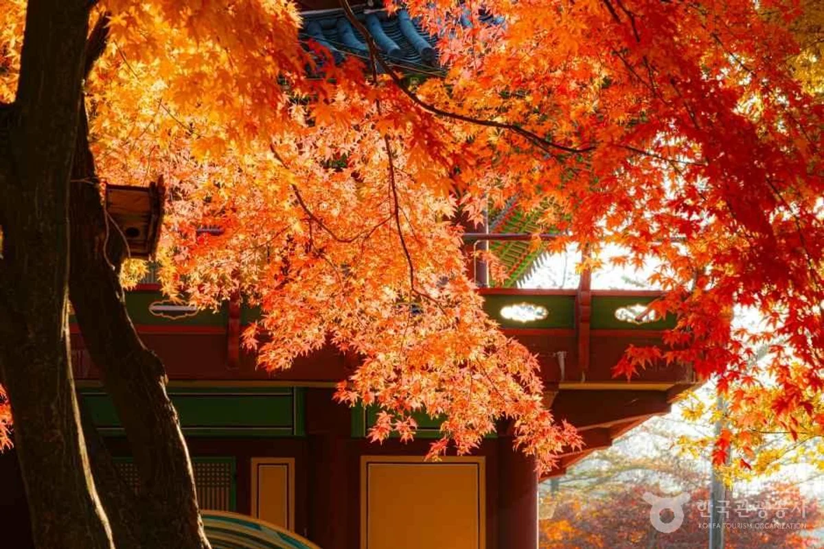 한울채황토한옥펜션 - 남양주여행 여행