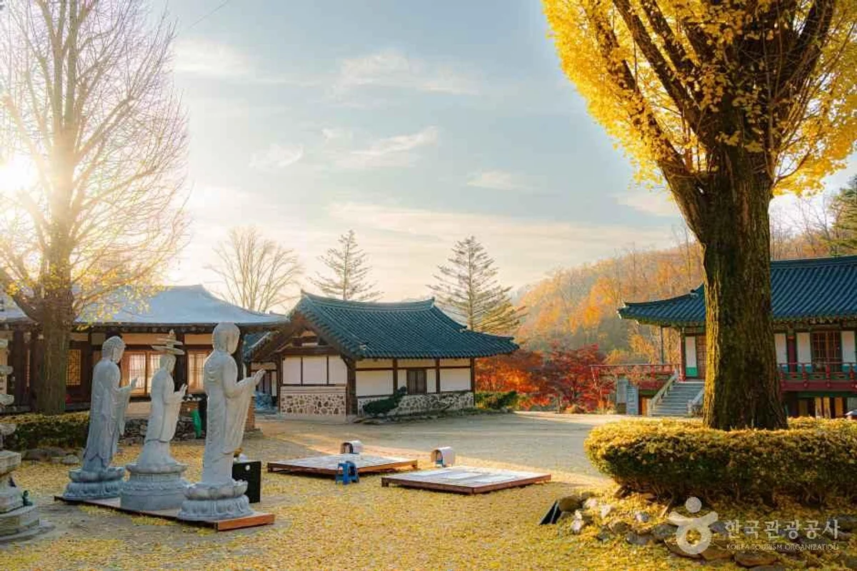 서삼릉 - 고양시덕양구 여행
