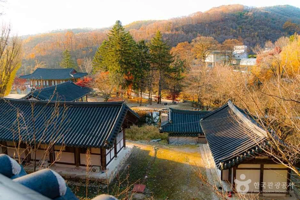 농촌체험 교육농장 - 남양주여행 여행
