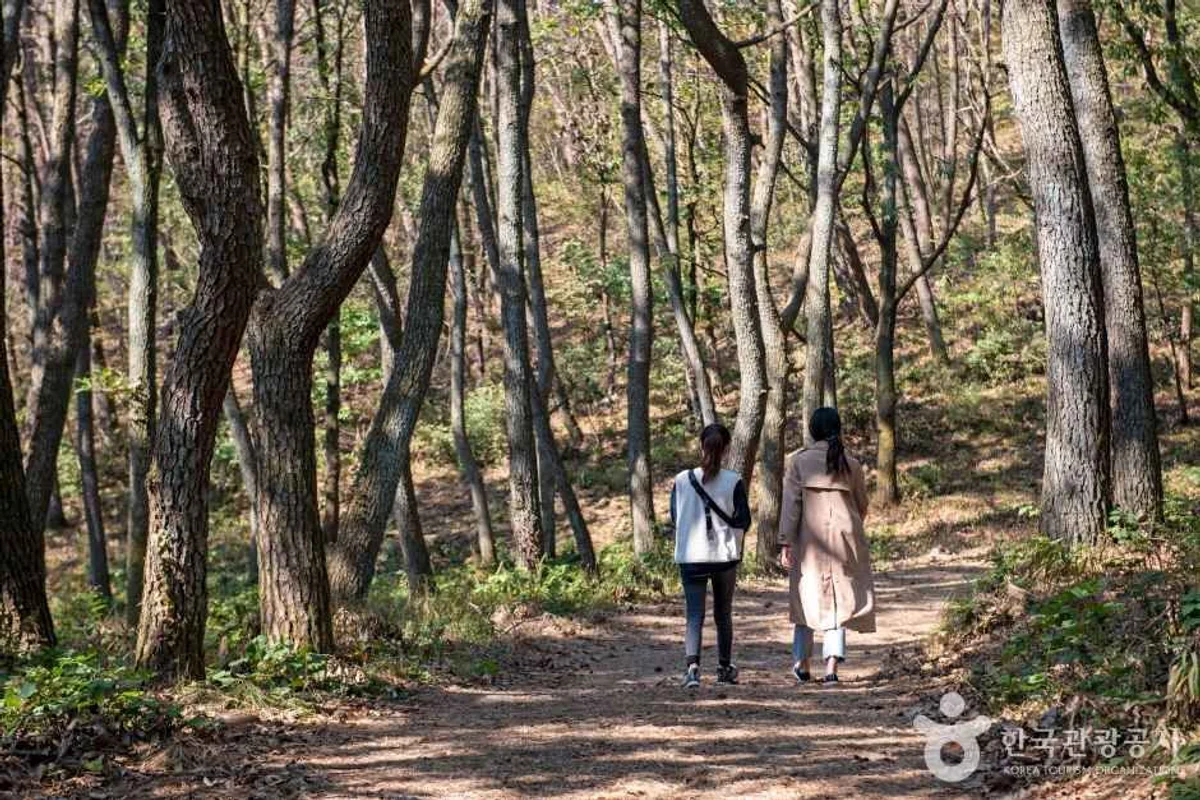 웨이브락 클라이밍 부산대점 - 금정구 여행
