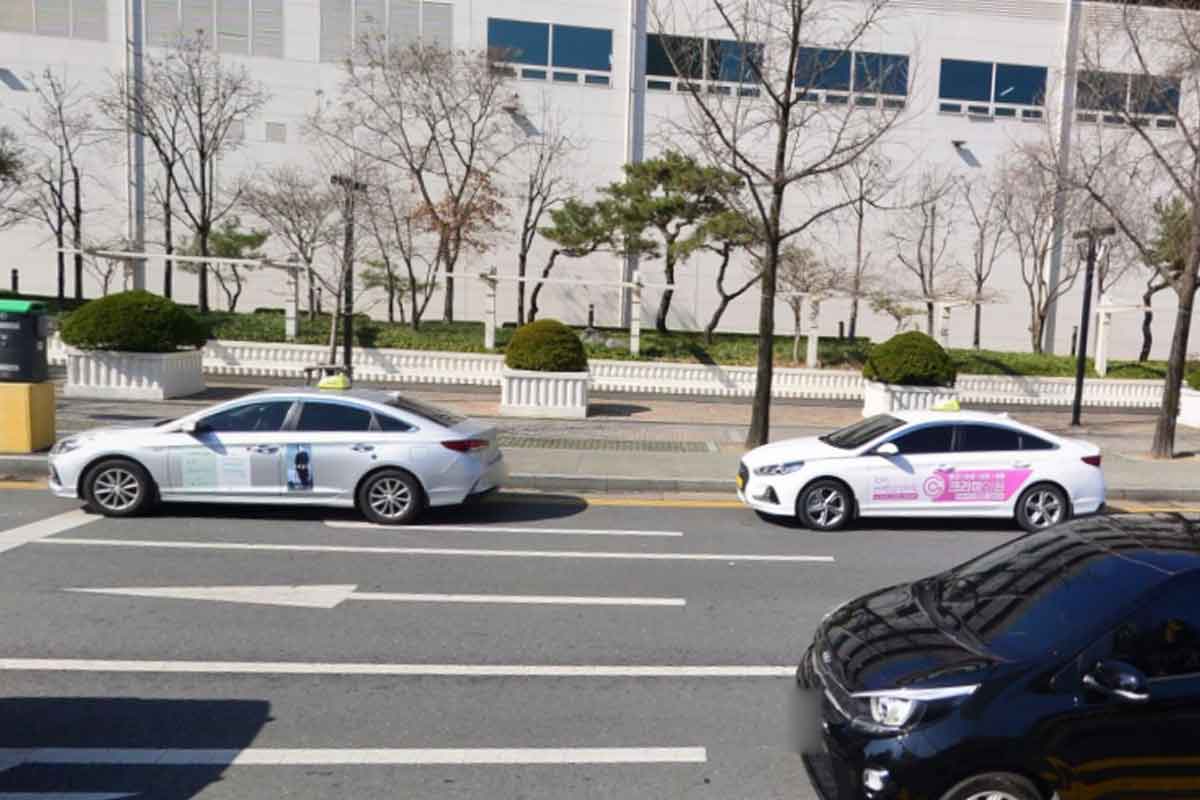 택시, 단속 면제 해달라” 세웠다가 과태료, 먹고살기 힘들다 오열 | 카프레스
