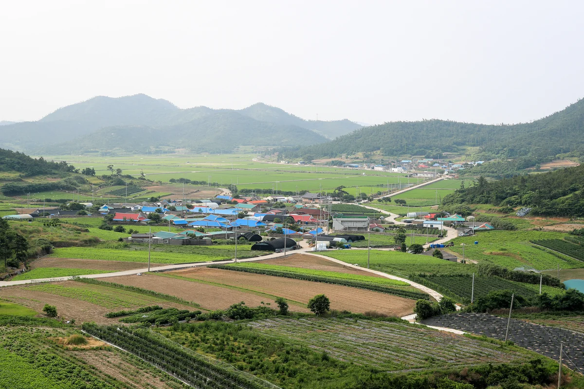 신안군 놀거리: 1004섬 분재정원 - 신안군 여행