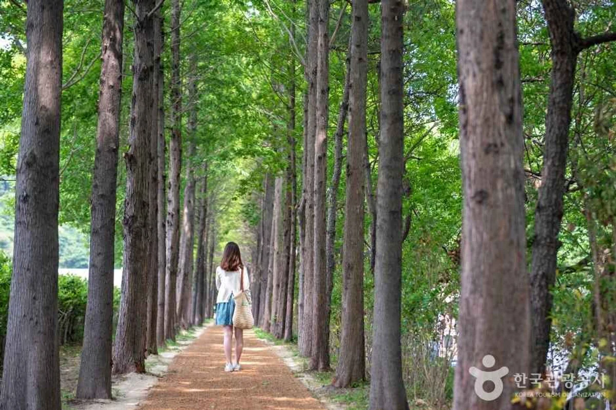 부산엑스더스카이 - 해운대여행 여행