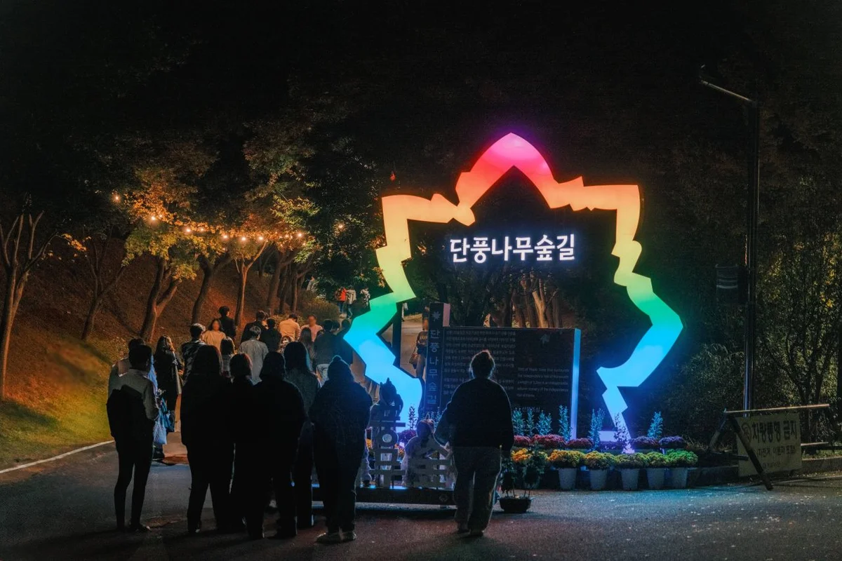 단풍나무숲길 - 독립기념관 여행