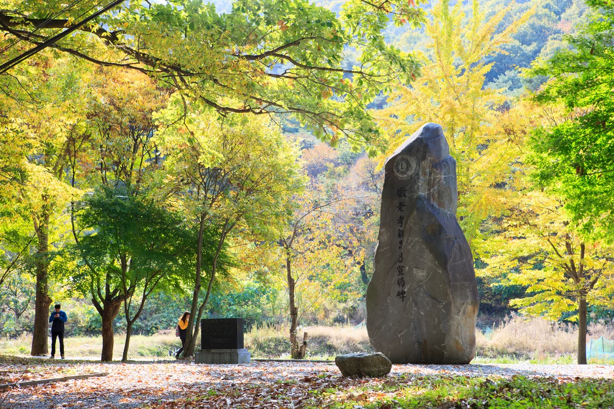 역삼장미공원 - 역삼 여행