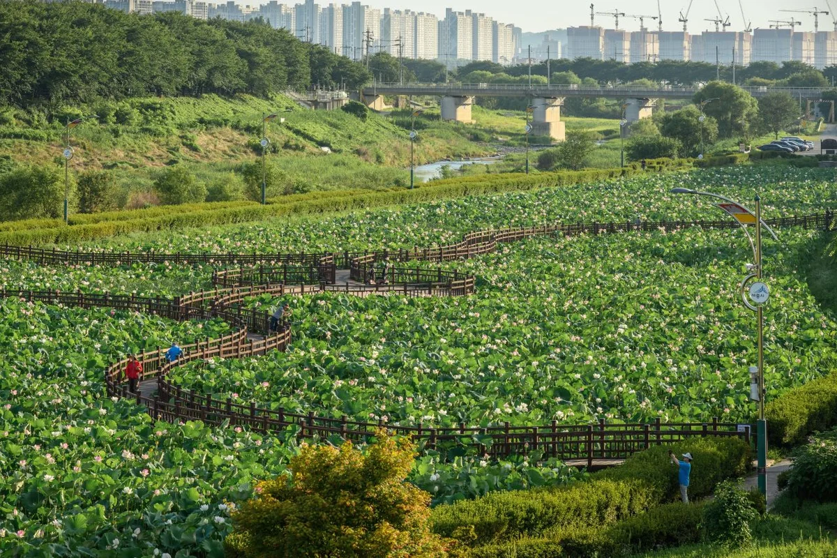 제주라프 - 제주여행 여행