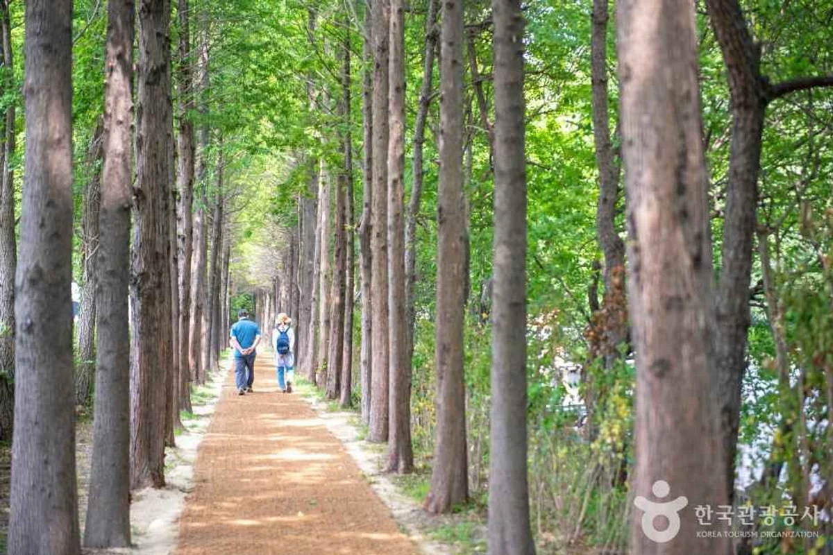 씨라이프부산아쿠아리움 - 해운대여행 여행