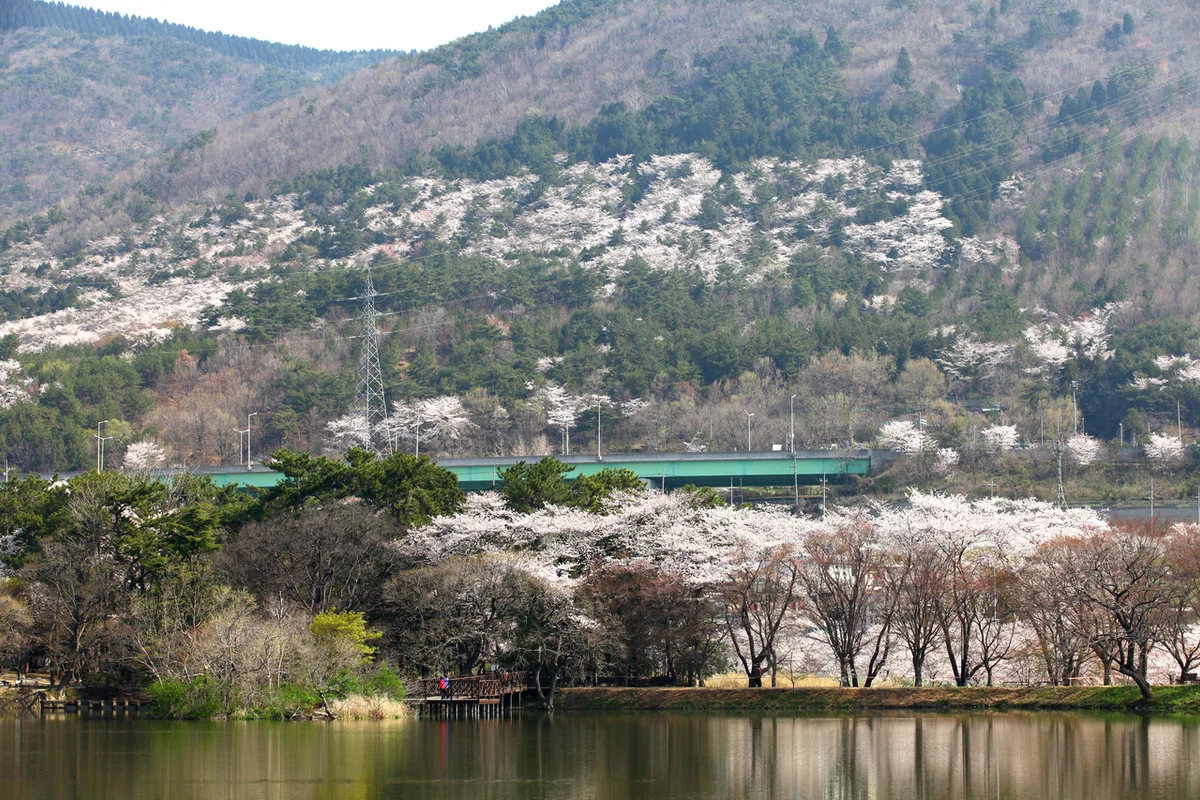 원흥사 - 창원야경 여행