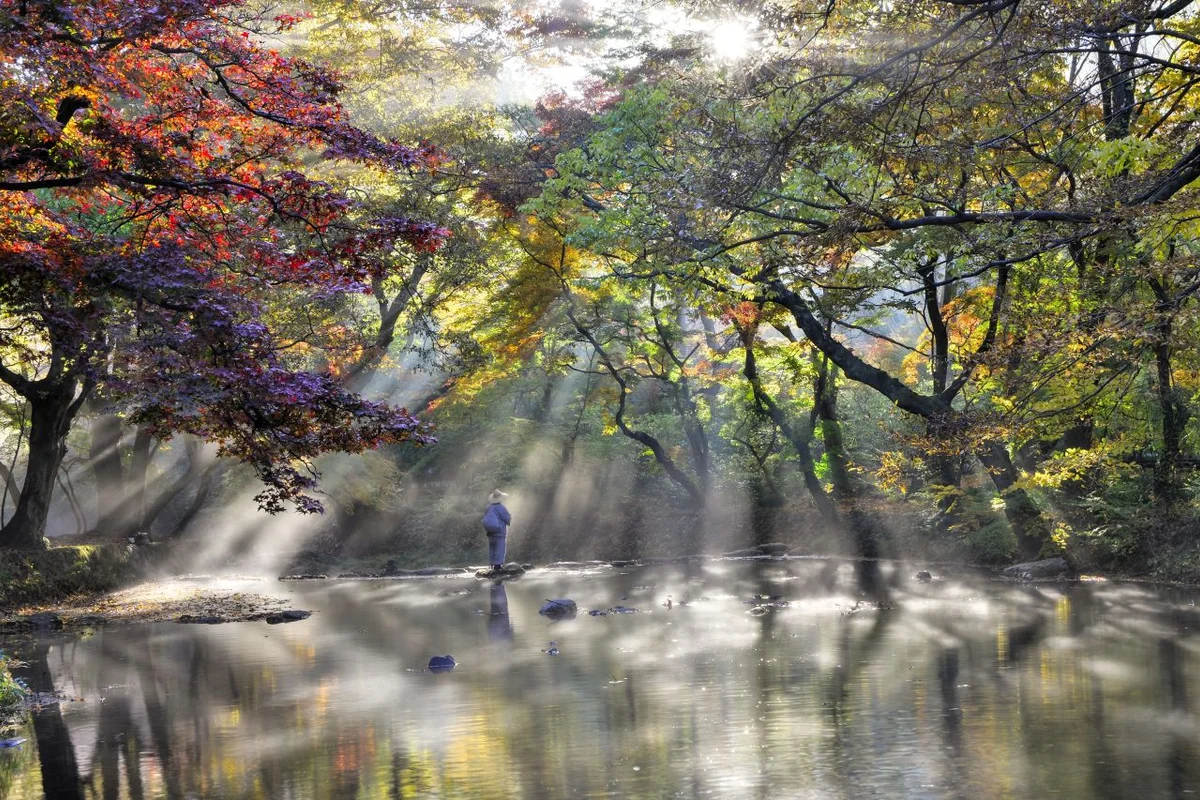 선운초서문화관 - 선운사 여행