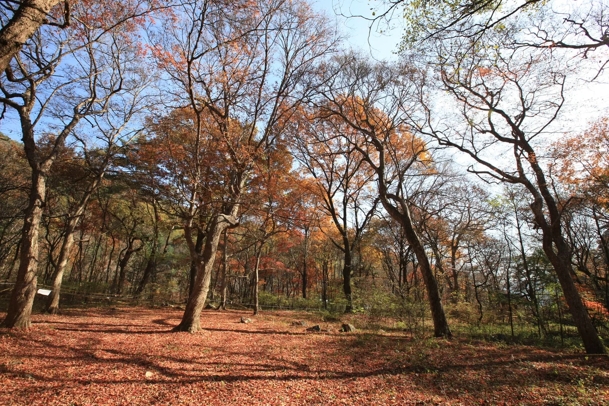 분당중앙공원 - 성남여행 여행