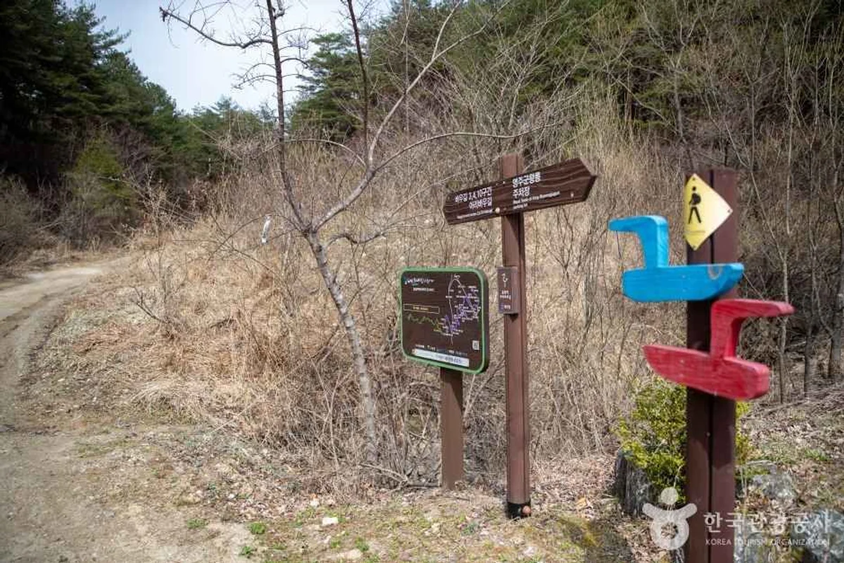 강릉 바우길 - 강릉시등산 여행