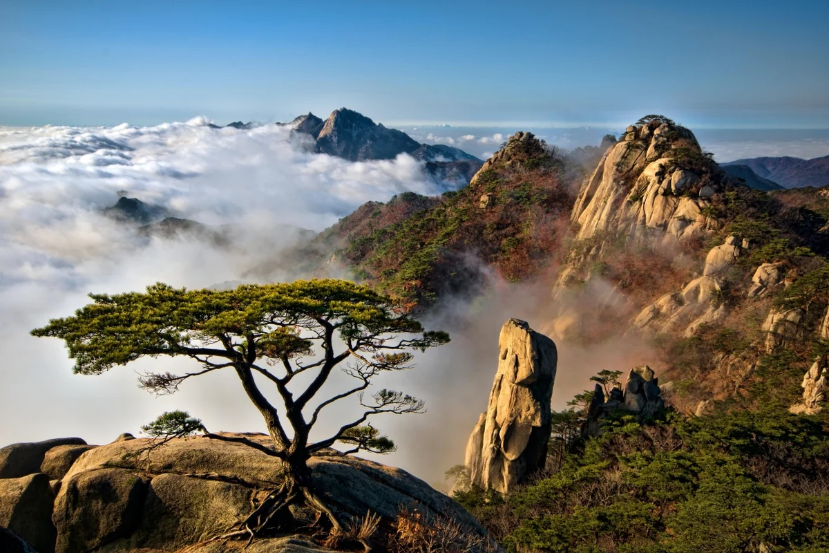 방학동 연산군묘 - 도봉구여행 여행