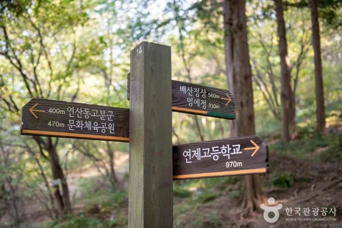 연산동고분군 - 연제구 여행
