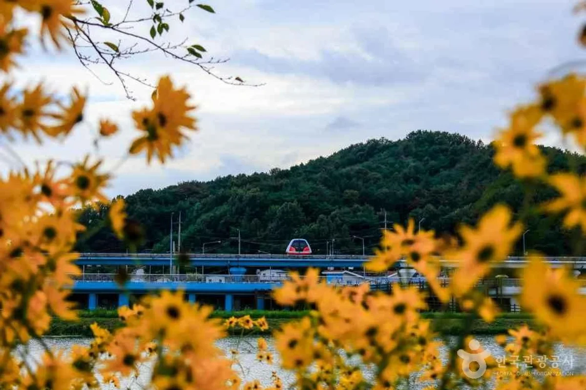 순천만국가정원 - 5월전남장미명소 여행
