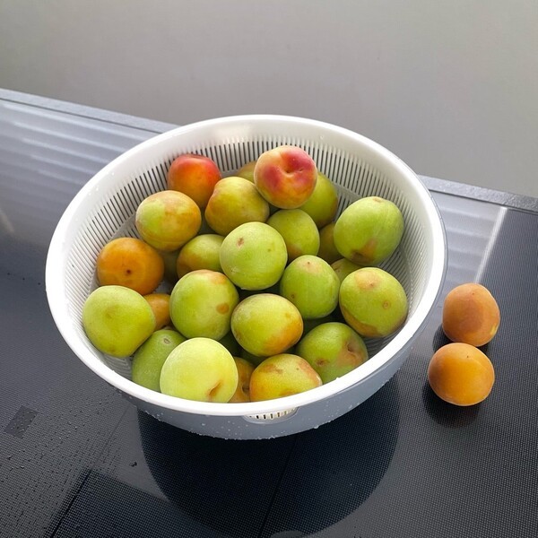 ameblo