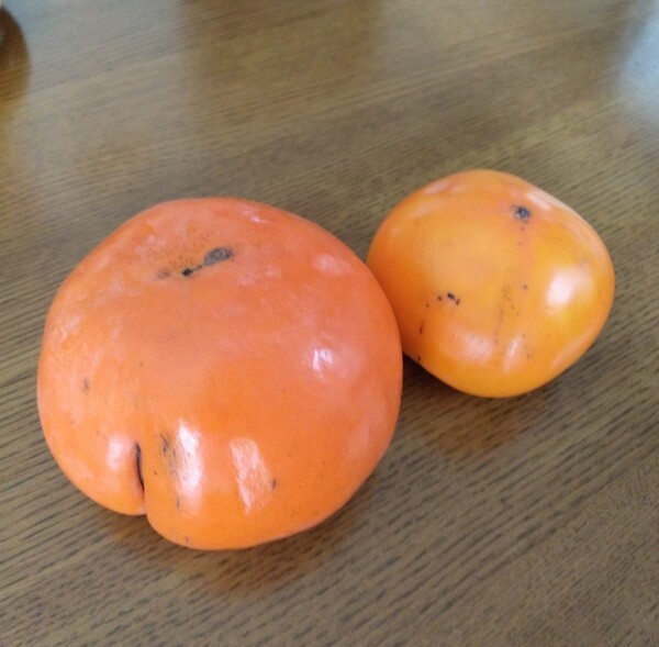 ameblo