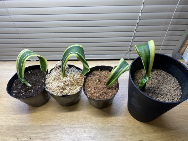 indoor-hobbies