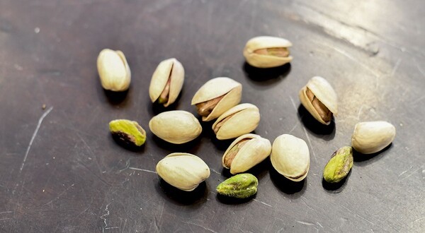 cashew-tree