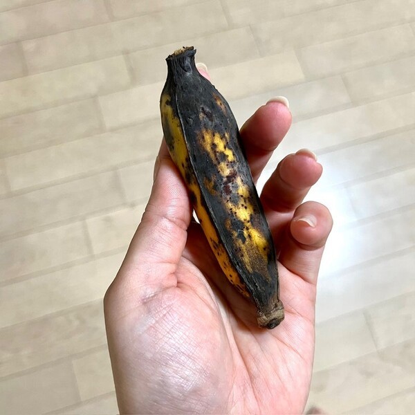 ameblo