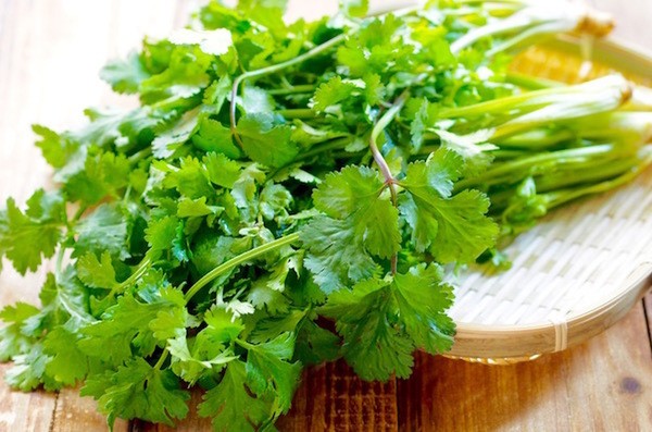 oishi-kenko