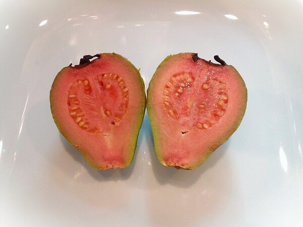 ameblo