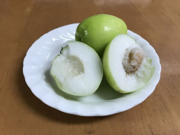 omishokai