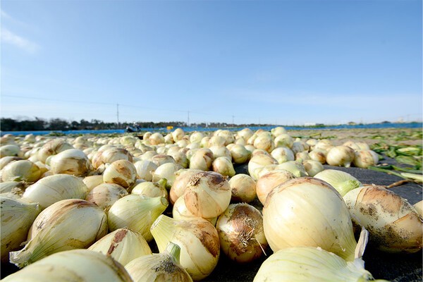 8075