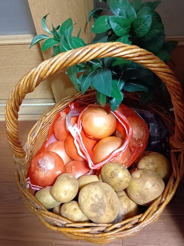 kurashinista