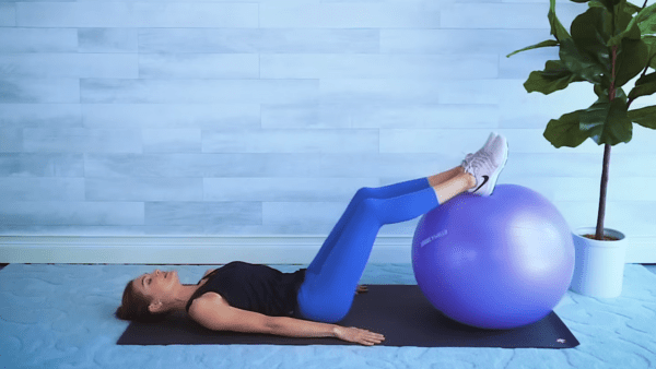 SeniorShapeFitness