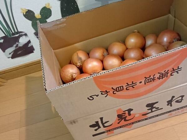 kurashinista