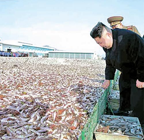 이영종의 평양 오디세이] 밥 대신 생선?…“매일 300g 먹게 하라” 수산업 키우는 김정은 | 중앙일보