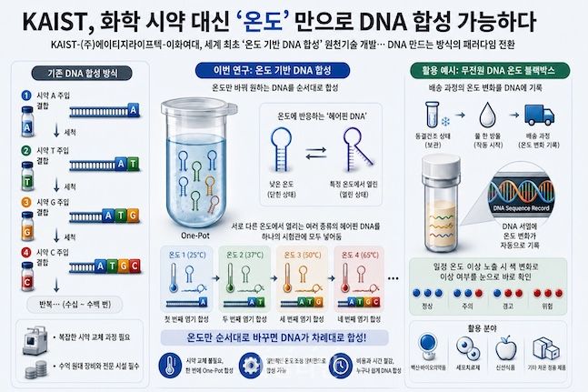 DNA 온도 블랙박스 개념 이미지. ⓒKAIST