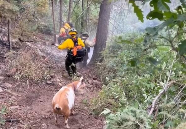 引用:Colorado Springs Fire Department