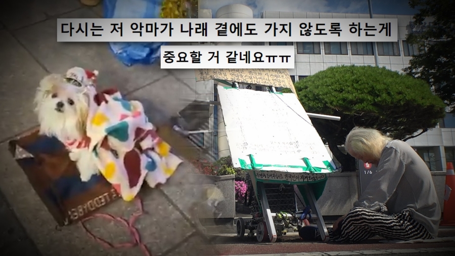 사진: SBS 제공