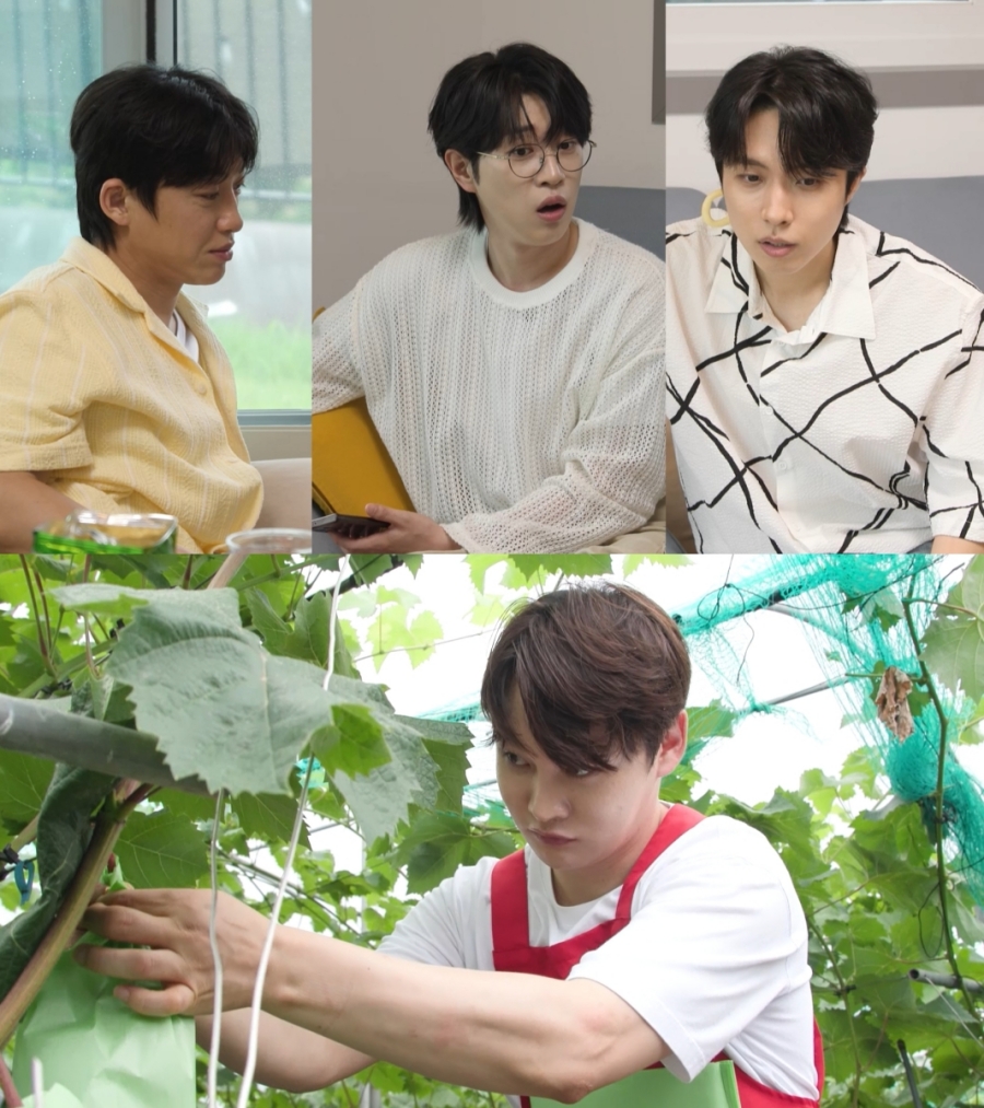 사진 : KBS 2TV ‘살림남’ 제공