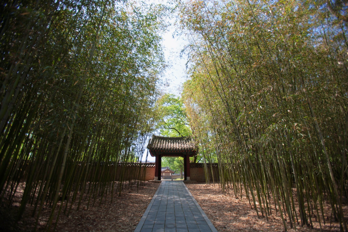 여름
