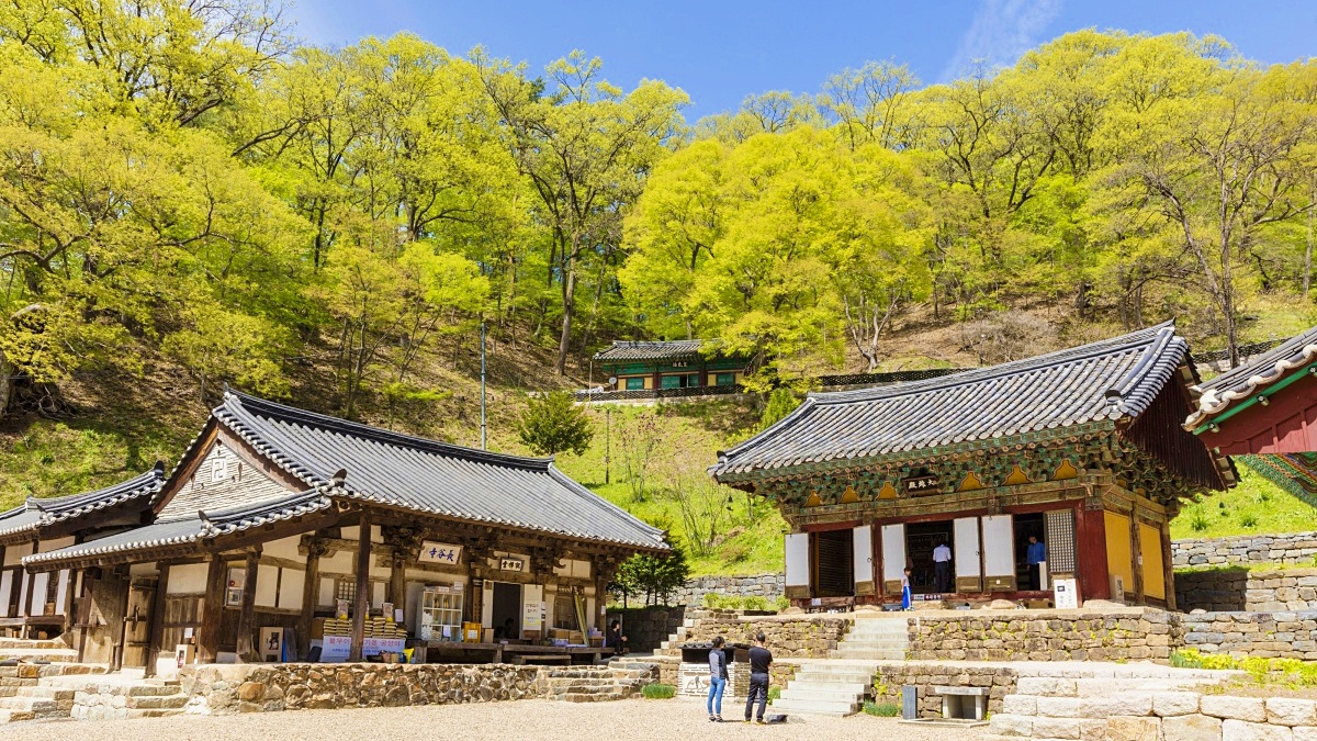 출처: 게티이미지뱅크 (충남 청양 칠갑산도립공원 장곡사)