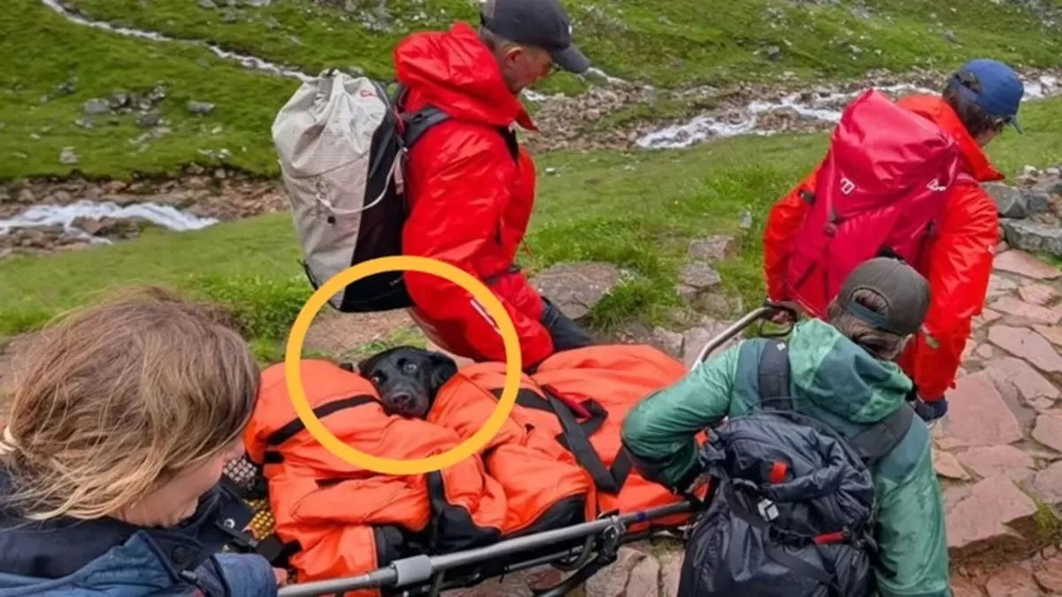 引用：Facebook「Lochaber Mountain Rescue Team」