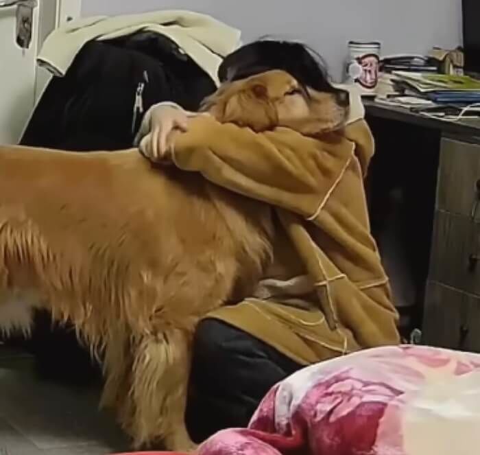 애니멀플래닛