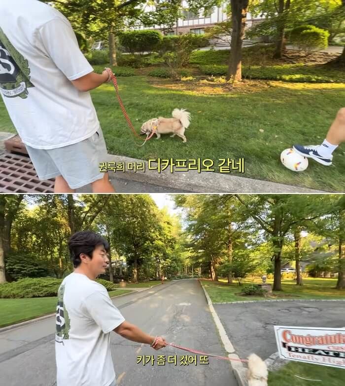 애니멀플래닛