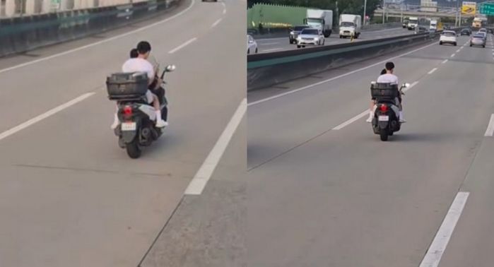 애니멀플래닛