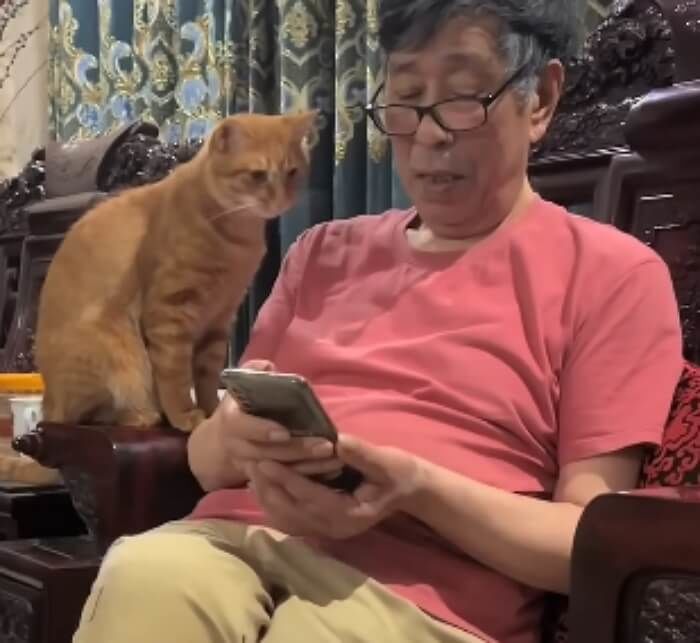애니멀플래닛