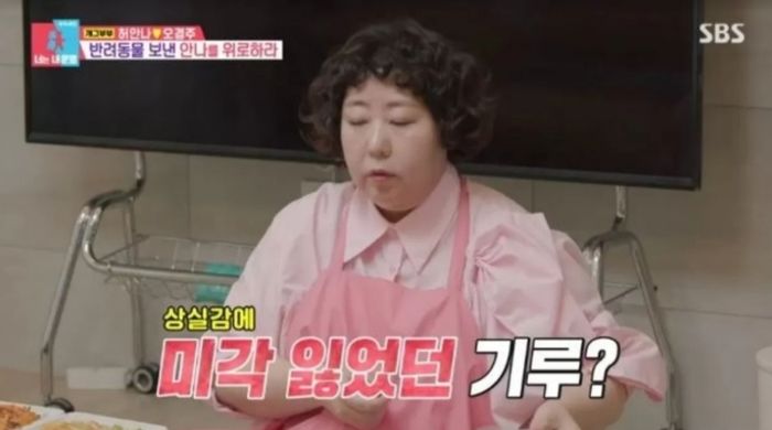 애니멀플래닛