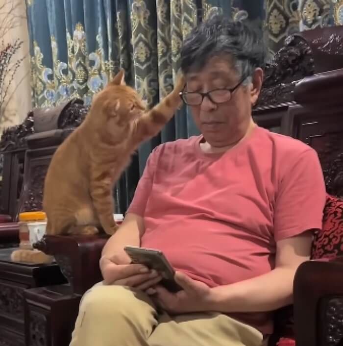 애니멀플래닛