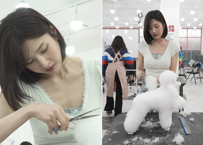 애니멀플래닛