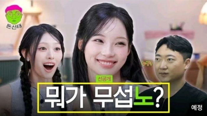 애니멀플래닛