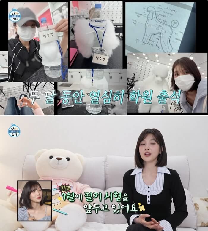 애니멀플래닛