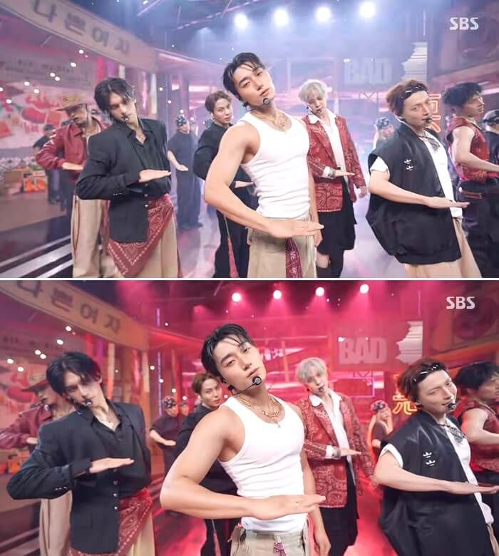 애니멀플래닛