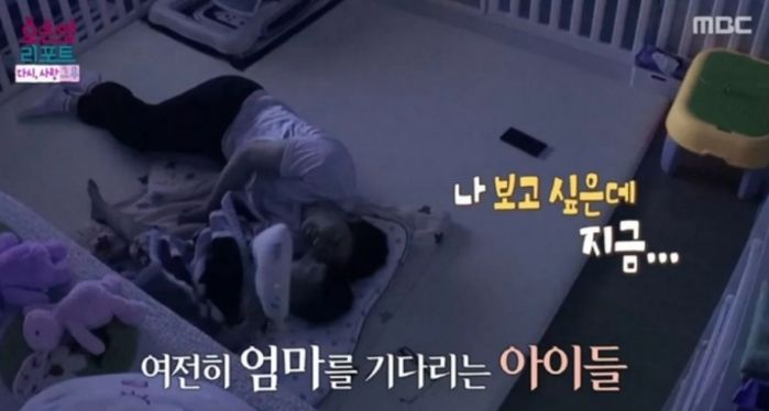 애니멀플래닛